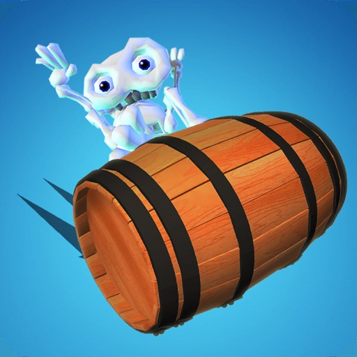 Barrel Rider